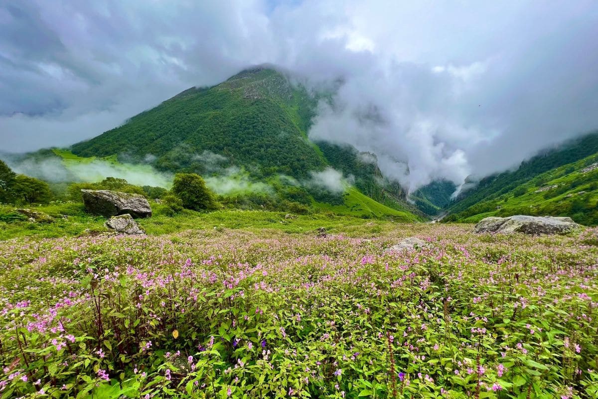 valley of flowers trek tirupati travels dehradun